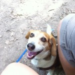 Maggie hiking