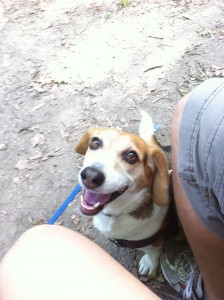 Big smile from Maggie on our hike