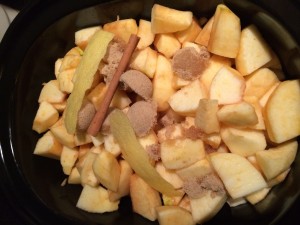 All the ingredients in the crock pot ready to go!